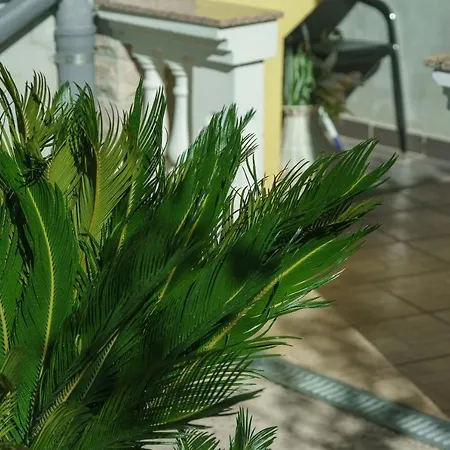 Apartment Sweet Vodice